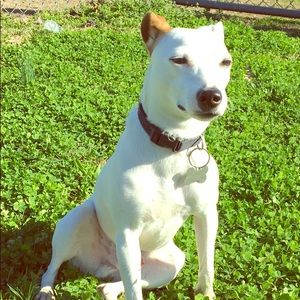 Meet your Posher, Ainay